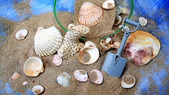 Sea shells resort vacation