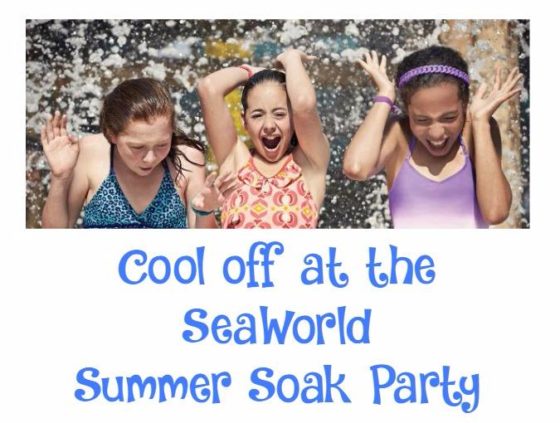 Cool-off-at-the-SeaWorld-Summer-Soak-Party r1nNYS