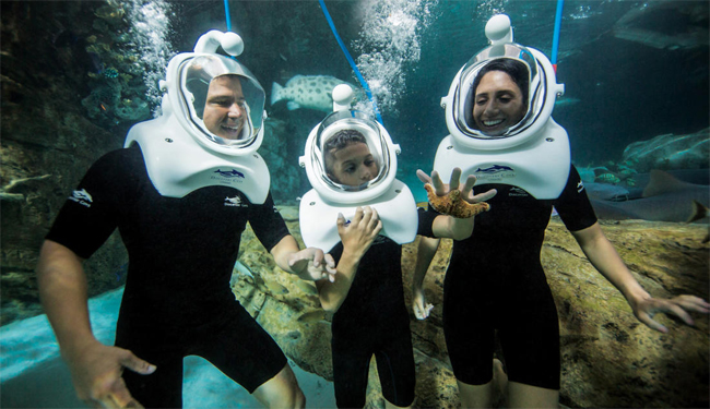 Family with Starfish 