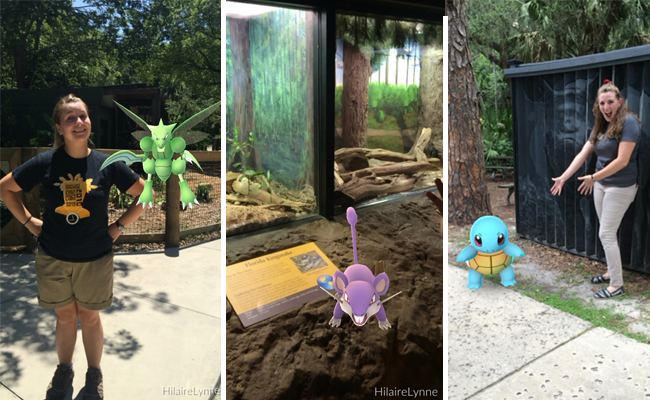 Pokemon Go at Central Florida Zoo