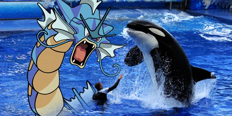 Pokemon_dragon_Orca_Whale_at_Seaworld_