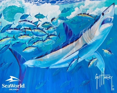 SeaWorld Guy Harvey Shark Image 