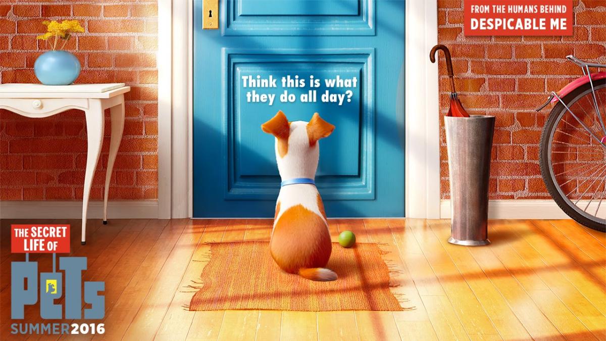 Secret Life of Pets dog waiting by door 