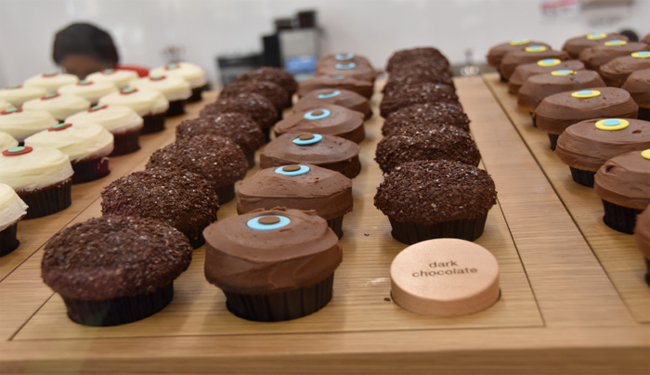 Sprinkles Row of Cupcakes 