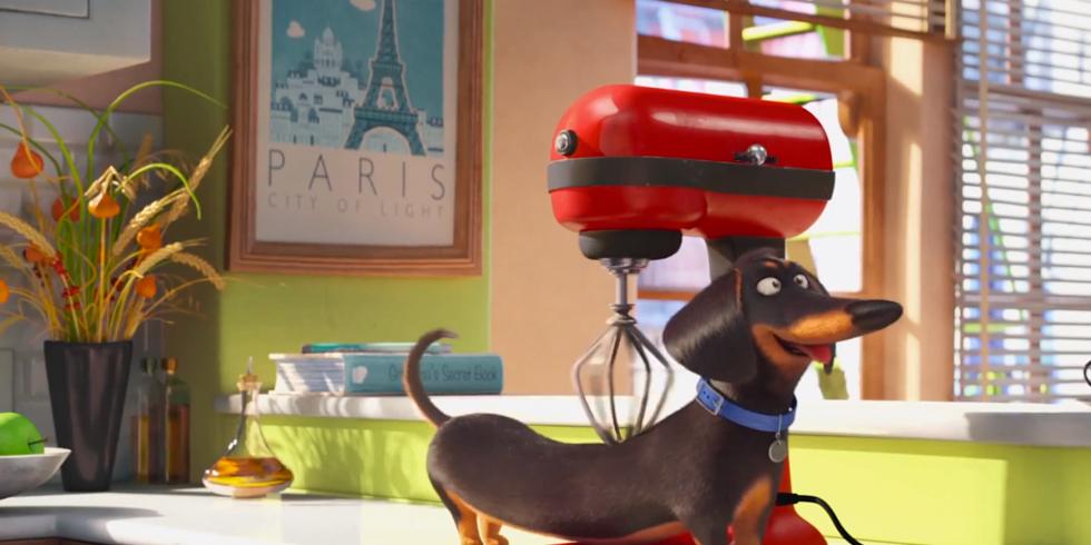 secret life of pets blender massage